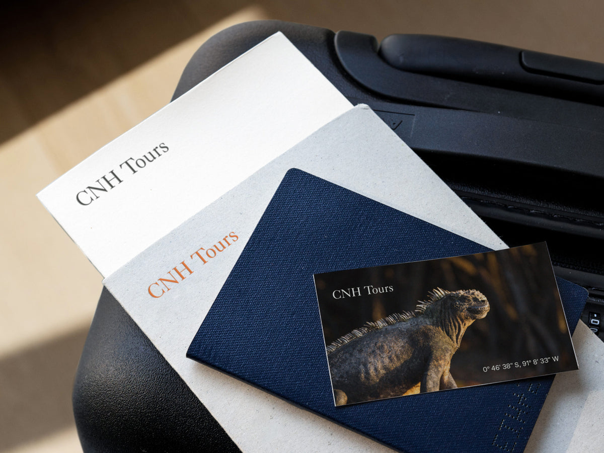 CNH Tours travel brochures and printed brand materials by Jackpine.