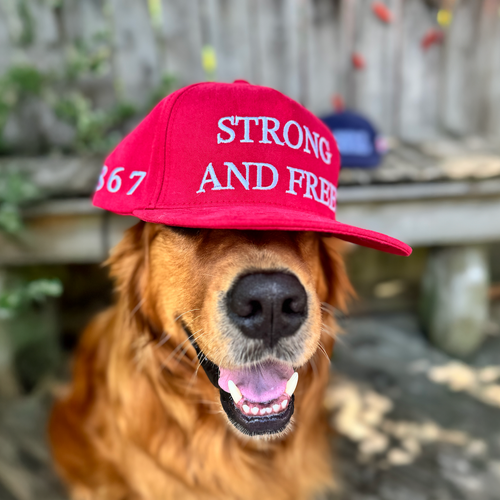 Strong and Free  - Structured Cap