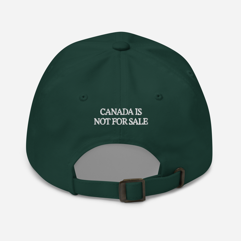 Lake Ontario Hat