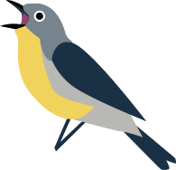 Illustrated graphic of warbler bird